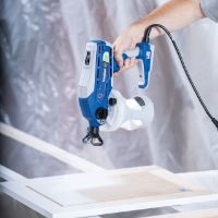 Graco truecoat 360 ds deals